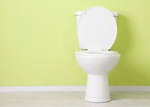 White toilet bowl in a bathroom.